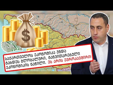 \'საქართველოს ეკონომიკა უნდა გახდეს გლობალური, განვითარებული ეკონომიკის ნაწილი,\' - გიორგი ვაშაძე